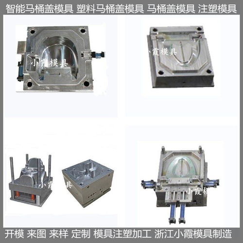 智能塑料馬桶蓋塑膠模具價(jià)格 智能塑料馬桶蓋塑膠模具 注塑加工 可定制加工 浙...